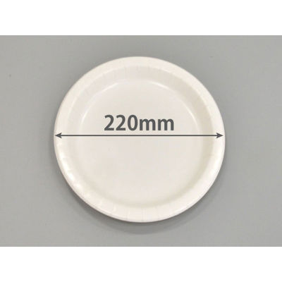 紙皿 ウルトラプレートNo.9 800枚(100枚×8) 4952893001182 1ケース(800枚入(100枚×8袋))（直送品）