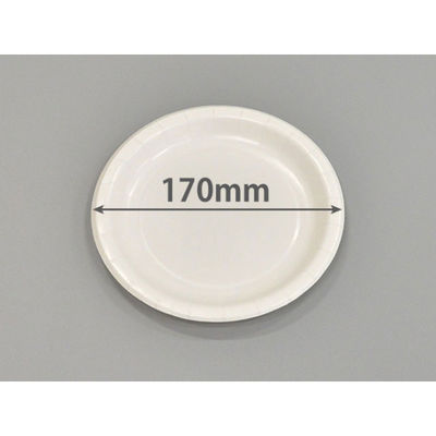 紙皿 ウルトラプレートNo.7 1800枚(100枚×18) 4952893001144 1ケース(1800枚入(100枚×18袋))（直送品）