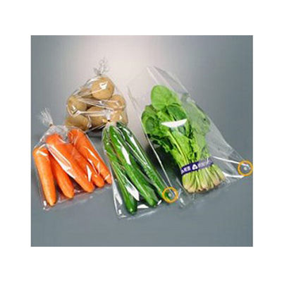 青果用袋 プラマーク規格品 FG20#100×450 穴4 P入 10000枚(1000枚×10) 5036（直送品）