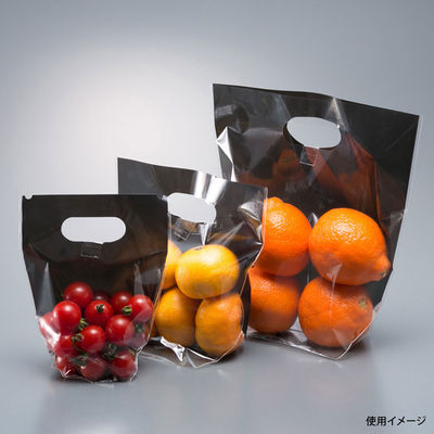 防曇 野菜袋 スタンドCoolo 1316 規格品 5000枚(1000枚×5) 2621 1ケース(5000枚入(1000枚×5袋))（直送品）