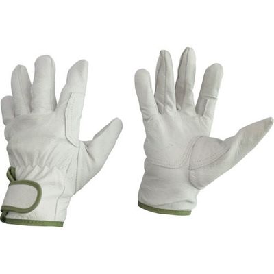 富士手袋工業 富士手袋 裏綿トンクレレインジャー緑線 L 9131-L 1セット(10双) 268-3279（直送品）