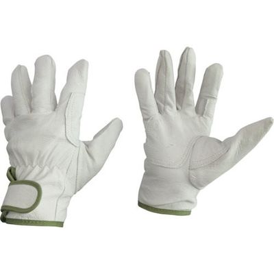 富士手袋工業 富士手袋 裏綿トンクレレインジャー緑線 9131-M 1セット(10双) 268-3275（直送品）