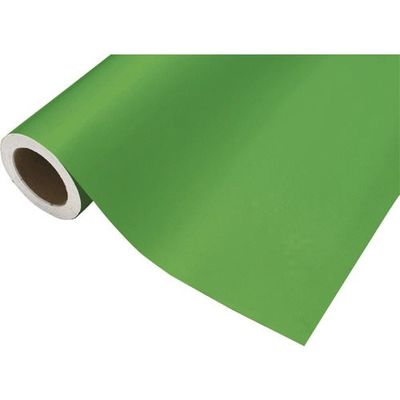 中川ケミカル カッティングシート423メイグリーン450mm×12M CS045423R 1本 175-7611（直送品）