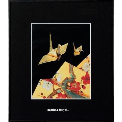 ケンコー・トキナー ケンコー 1250118 アルミ額縁 画廊 A3ノビBKアクリル AGRーA3NーBKーAC 1枚 414-2684（直送品）