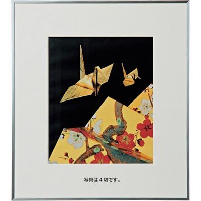 ケンコー・トキナー ケンコー 1250113 アルミ額縁 画廊 A3ノビSV AGRーA3NーSV 1枚 414-2618（直送品）