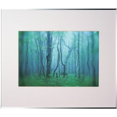 ケンコー・トキナー ケンコー 1250148 アルミ額縁 ギャラリー A3 シルバー AGYーA3ーSV 1枚 414-1021（直送品）