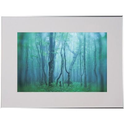 ケンコー・トキナー ケンコー 1250149 アルミ額縁 ギャラリー A3ノビ シルバー AGYーA3NーSV 1枚 414-1028（直送品）