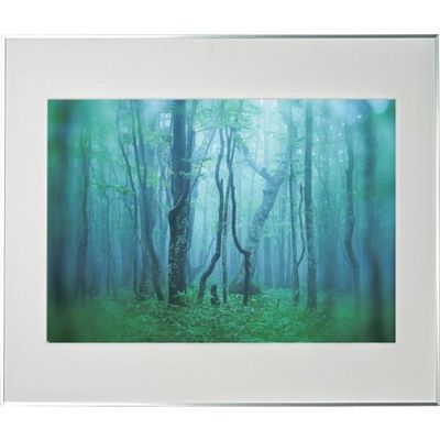 ケンコー・トキナー ケンコー 1250150 アルミ額縁 ギャラリー A2 シルバー AGYーA2ーSV 1枚 414-2677（直送品）