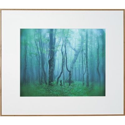 ケンコー・トキナー ケンコー 1250156 アルミ額縁 ギャラリー 半切 ナチュラル AGYーHーNA 1枚 414-2672（直送品）