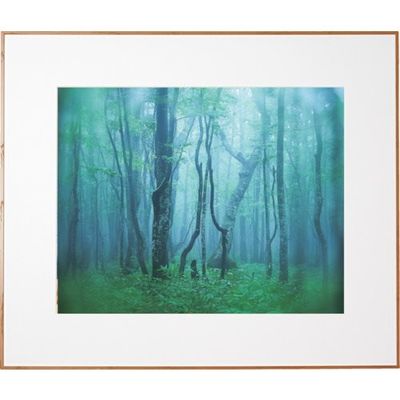 ケンコー・トキナー ケンコー 1250157 アルミ額縁 ギャラリー 全紙 ナチュラル AGYーZーNA 1枚 414-4165（直送品）