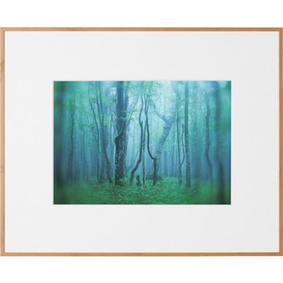 ケンコー・トキナー ケンコー 1250158 アルミ額縁 ギャラリー A4 ナチュラル AGYーA4ーNA 1枚 414-2620（直送品）