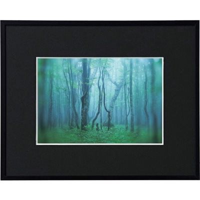 ケンコー・トキナー ケンコー 1250127 アルミ額縁 ギャラリー 2L ブラック AGYー2LーBK 1枚 414-1065（直送品）