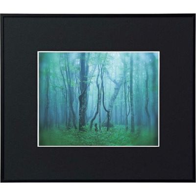 ケンコー・トキナー ケンコー 1250129 アルミ額縁 ギャラリー 6切 ブラック AGYー6ーBK 1枚 414-4182（直送品）