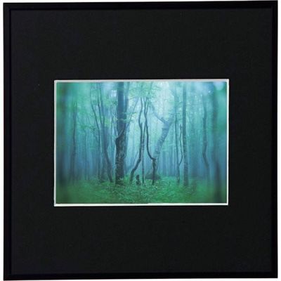 ケンコー・トキナー ケンコー 1250128 アルミ額縁 ギャラリー 2Lスクエア ブラック AGYー2LSQーBK 1枚 414-2633（直送品）