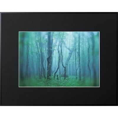 ケンコー・トキナー ケンコー 1250131 アルミ額縁 ギャラリー W4切 ブラック AGYーW4ーBK 1枚 414-1092（直送品）