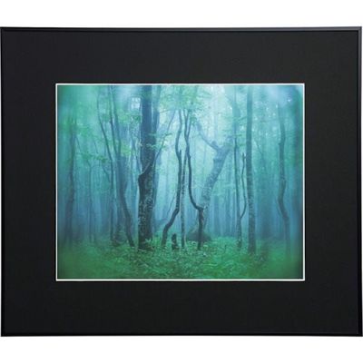 ケンコー・トキナー ケンコー 1250132 アルミ額縁 ギャラリー 半切 ブラック AGYーHーBK 1枚 414-2613（直送品）