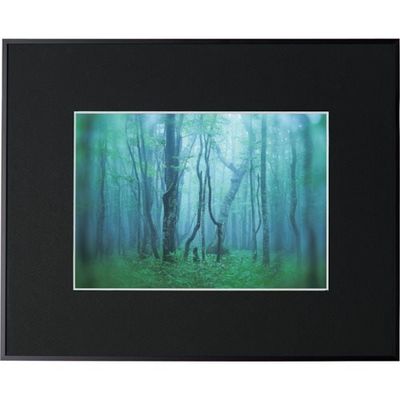 ケンコー・トキナー ケンコー 1250134 アルミ額縁 ギャラリー A4 ブラック AGYーA4ーBK 1枚 414-2629（直送品）