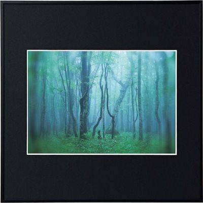 ケンコー・トキナー ケンコー 1250135 アルミ額縁 ギャラリー A4スクエア ブラック AGYーA4SQーBK 1枚 414-1049（直送品）