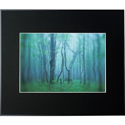 ケンコー・トキナー ケンコー 1250136 アルミ額縁 ギャラリー A3 ブラック AGYーA3ーBK 1枚 414-1097（直送品）