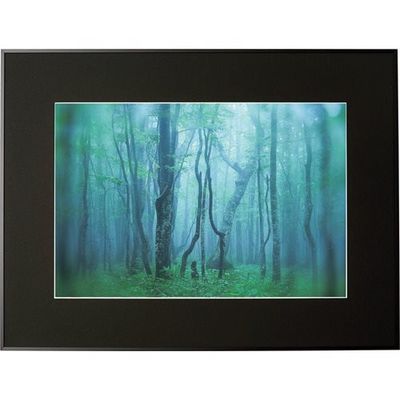 ケンコー・トキナー ケンコー 1250137 アルミ額縁 ギャラリー A3ノビ ブラック AGYーA3NーBK 1枚 414-2597（直送品）