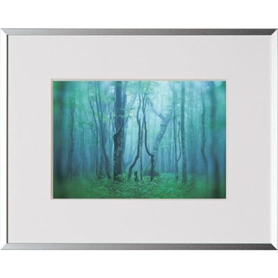 ケンコー・トキナー ケンコー 1250139 アルミ額縁 ギャラリー 2L シルバー AGYー2LーSV 1枚 414-4179（直送品）