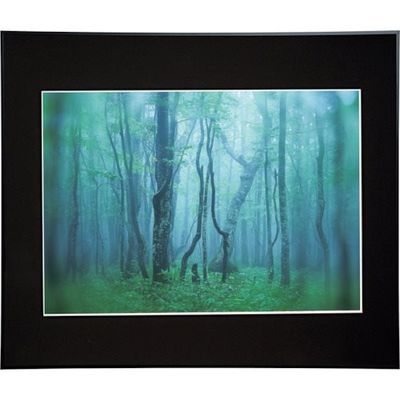 ケンコー・トキナー ケンコー 1250138 アルミ額縁 ギャラリー A2 ブラック AGYーA2ーBK 1枚 414-2581（直送品）