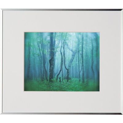 ケンコー・トキナー ケンコー 1250141 アルミ額縁 ギャラリー 6切 シルバー AGYー6ーSV 1枚 414-1106（直送品）