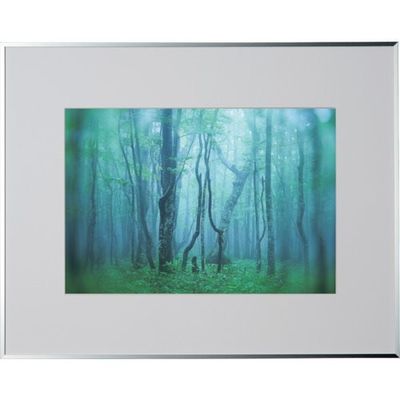 ケンコー・トキナー ケンコー 1250143 アルミ額縁 ギャラリー W4切 シルバー AGYーW4ーSV 1枚 414-1080（直送品）