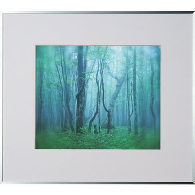 ケンコー・トキナー ケンコー 1250142 アルミ額縁 ギャラリー 4切 シルバー AGYー4ーSV 1枚 414-1019（直送品）