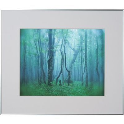 ケンコー・トキナー ケンコー 1250144 アルミ額縁 ギャラリー 半切 シルバー AGYーHーSV 1枚 414-2687（直送品）