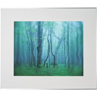 ケンコー・トキナー ケンコー 1250145 アルミ額縁 ギャラリー 全紙 シルバー AGYーZーSV 1枚 414-1084（直送品）