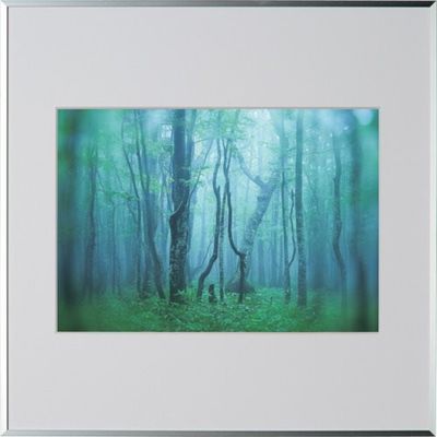 ケンコー・トキナー ケンコー 1250147 アルミ額縁 ギャラリー A4スクエア シルバー AGYーA4SQーSV 1枚 414-2599（直送品）