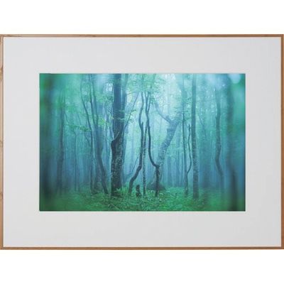 ケンコー・トキナー ケンコー 1250161 アルミ額縁 ギャラリー A3ノビ ナチュラル AGYーA3NーNA 1枚 414-2654（直送品）