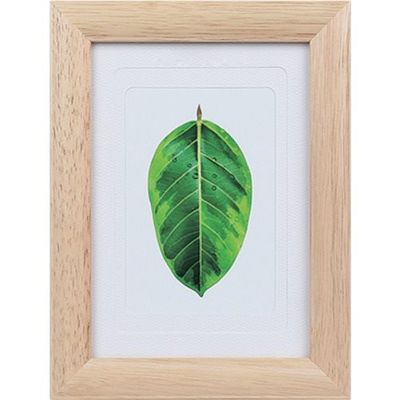 ケンコー・トキナー ケンコー 1250172 写真立て ゴムの木 ナチュラル PSーGMーNA 1枚 414-1073（直送品）