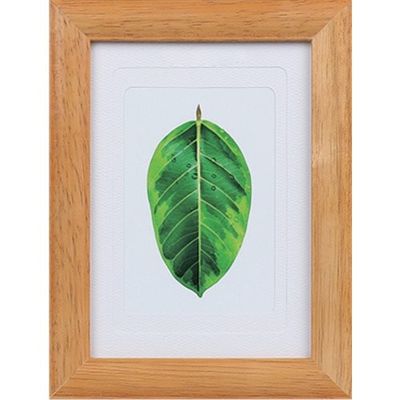 ケンコー・トキナー ケンコー 1250174 写真立て ゴムの木 チーク PSーGMーTI 1枚 414-4167（直送品）