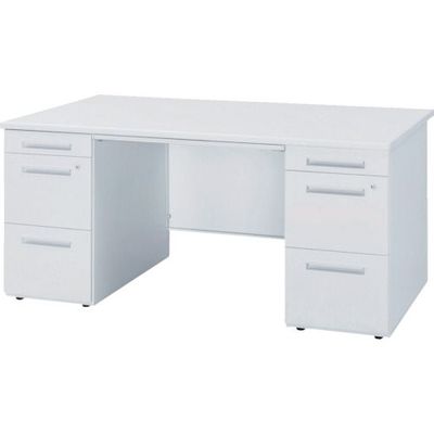 トヨセット トヨスチール 両袖机 50SBH-167AAWW 1台 135-3145（直送品）