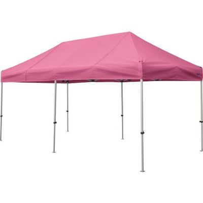 さくらコーポレーション さくら かんたんてんと 2.4m×4.8mスチール&アルミ複合フレーム ピンク KA/5W-P 1台（直送品）