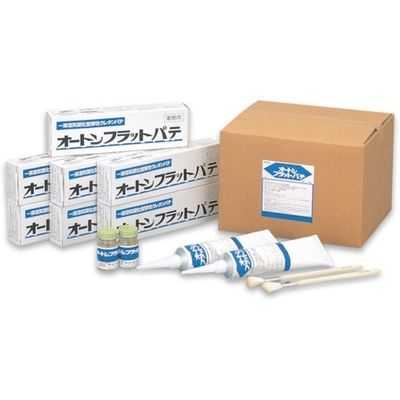 オート化学工業 オート化学 シーリング剤 オートンフラットパテ 420023 1セット(12本) 136-0795（直送品）
