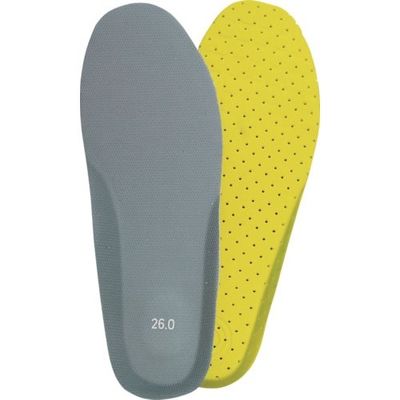 阪神素地 ハンシン Fー10 踏み抜き防止板 25.5cm F-10-25.5 1組 133-1021（直送品）