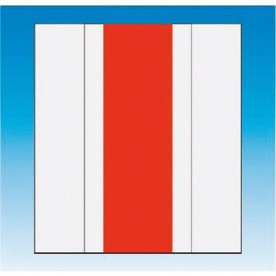 つくし工房 つくし 資格者表示ゼッケン前面用 蛍光レッド無地 TY-201EM 1着 184-6422（直送品）