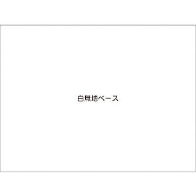 つくし工房 つくし スチールミニ掲示板 白無地ベース KG-1205 1台 183-8546（直送品）