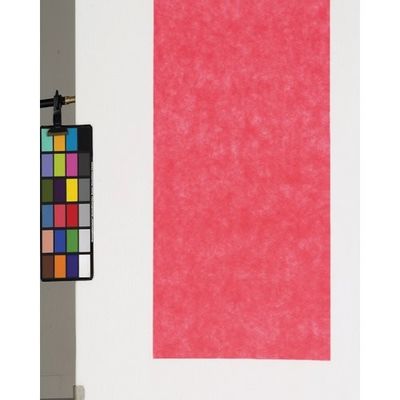 東京メディカル 不織布シート トマト 66角 (100枚入) FUT-66 1袋(100枚) 816-7795（直送品）