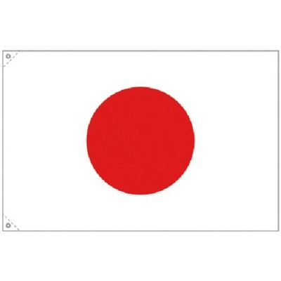 つくし工房 つくし 日章旗 中サイズ 644-B 1枚 183-5312（直送品）