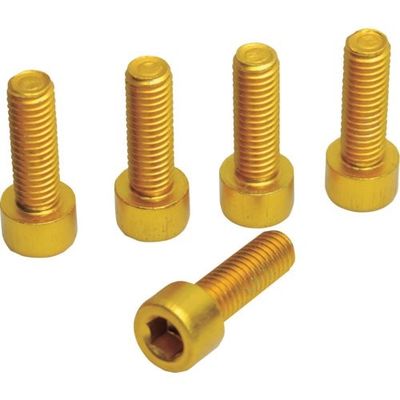 ワールドツール アストロプロダクツ 5PC ボトルケージ用ボルト ゴールド (5個入) 2026000008301 1袋(5袋)（直送品）