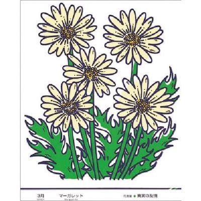 つくし工房 つくし たのし~る[花ことば] マーガレット KS-43 1枚 184-1779（直送品）