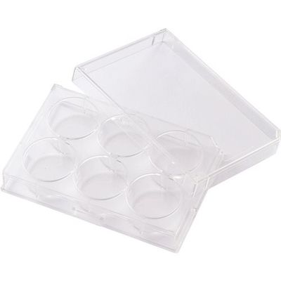 東京硝子器械 TGK マルチディッシュ6平底プレート 60枚 425-28-55-01 1箱(60枚) 185-9855（直送品）