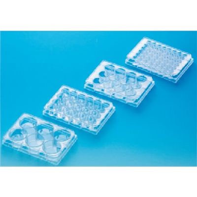 東京硝子器械 TGK マルチウェルプレート 24ウェル1 50包 725-28-03-12 1箱(50個) 184-2660（直送品）