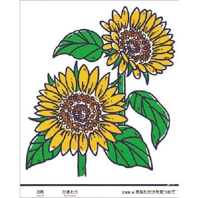 つくし工房 つくし たのし~る[花ことば] ひまわり KS-48 1枚 185-1189（直送品）