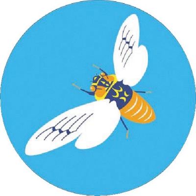 つくし工房 つくし たのし~る[こんちゅう1] えぞぜみ KS-25 1枚 184-9683（直送品）