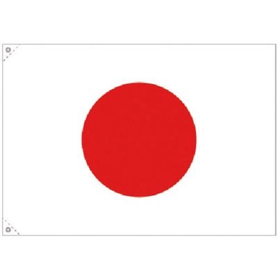 つくし工房 つくし 日章旗 大サイズ 644-A 1枚 185-7270（直送品）
